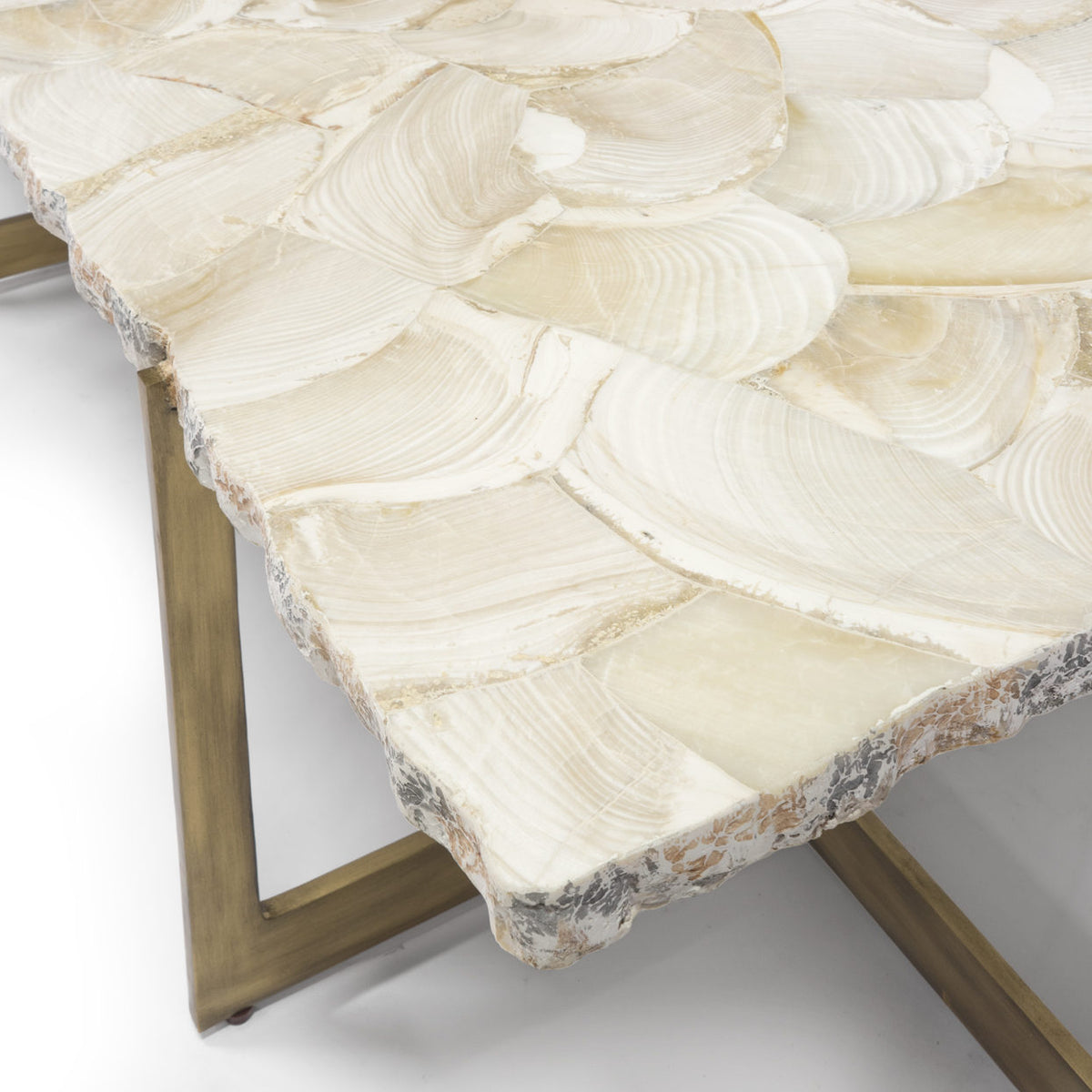 DURHAM FOSSILIZED CLAM COFFEE TABLE – Fig & Birch Interiors